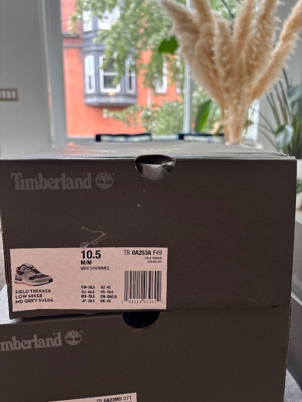 Timberland Field Trekker Shoe